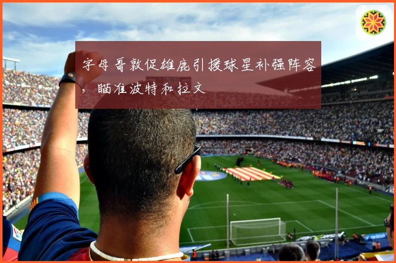 字母哥敦促雄鹿引援球星补强阵容，瞄准波特和拉文